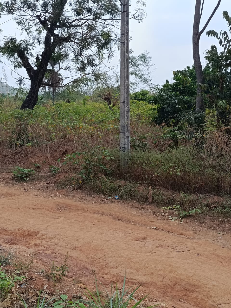 PREMIUM LAND FOR SALE