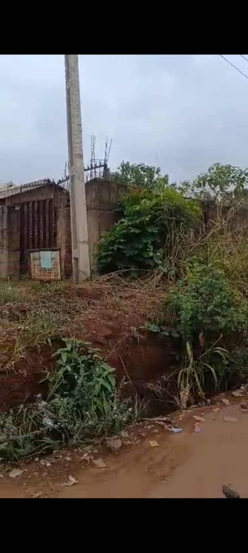 PRIME LAND UP FOR GRABS