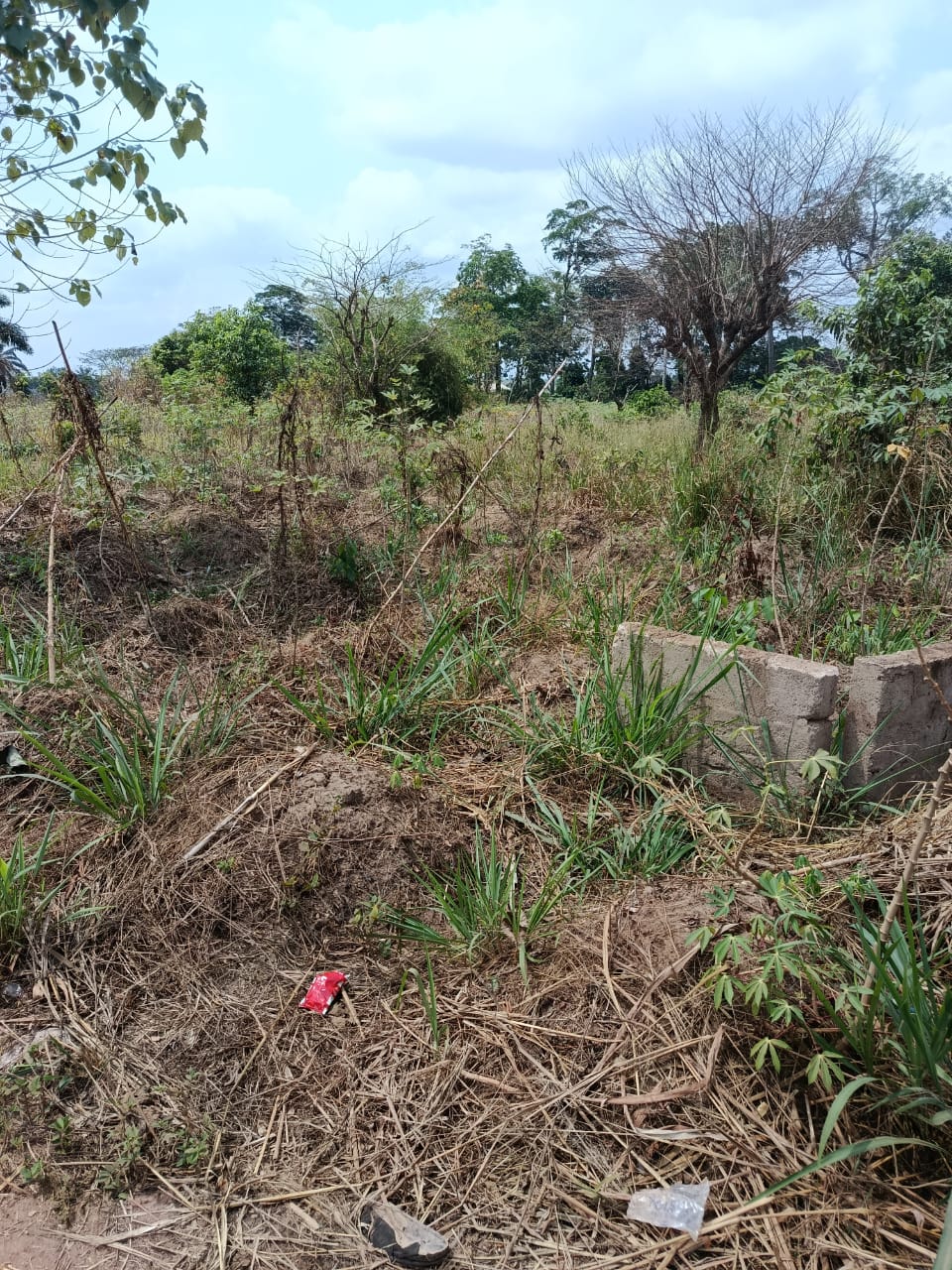 CORNER PLOT FOR SALE