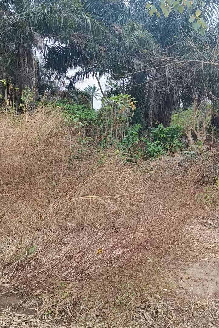 PLOT OF LAND FOR SALE